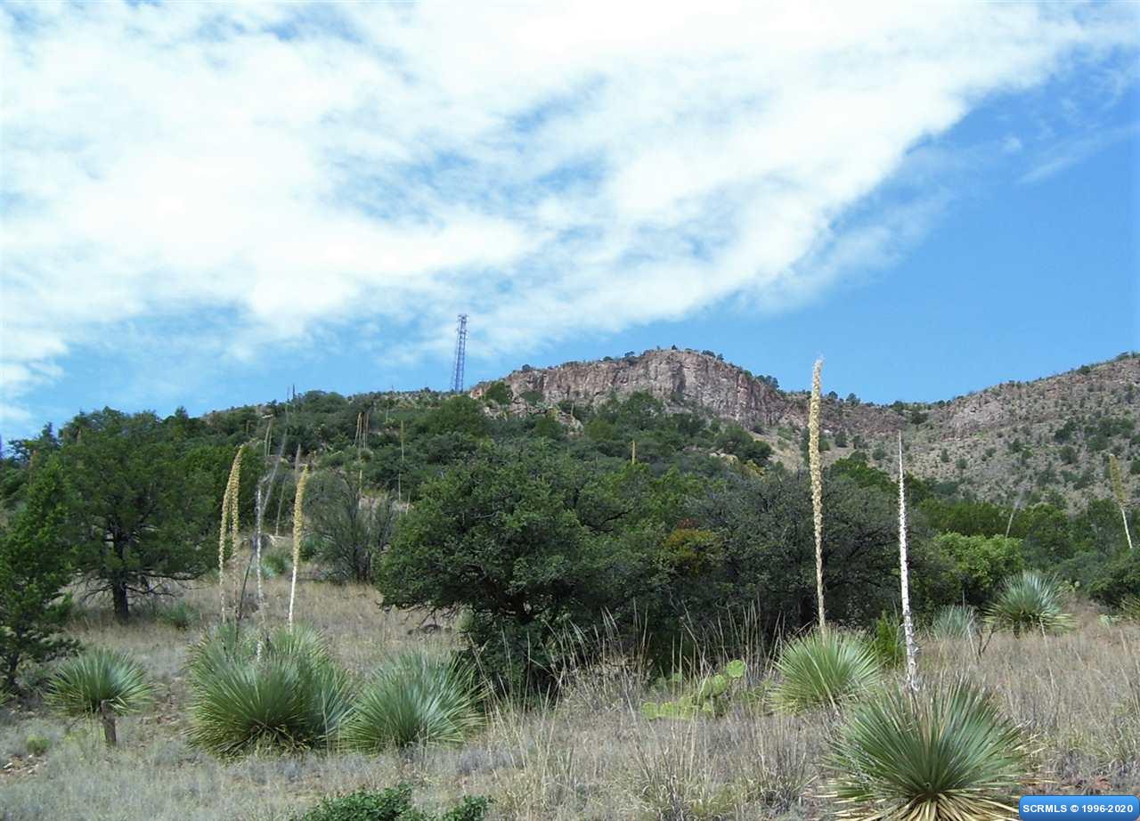 Lot 38 Caballo Blanco Road #Lot 38, Mimbres