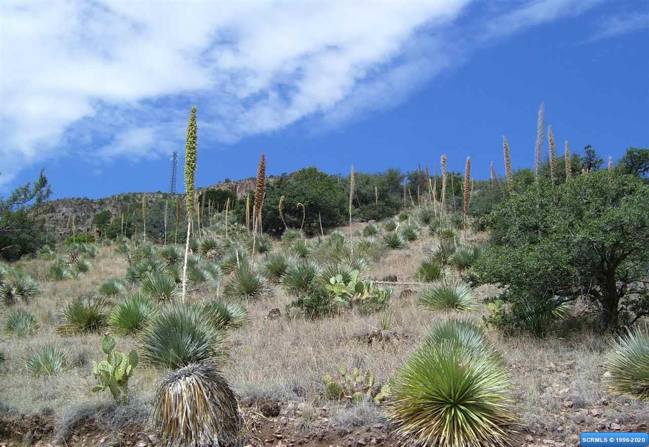 225 Caballo Blanco Road #Lot 37, photograph 2