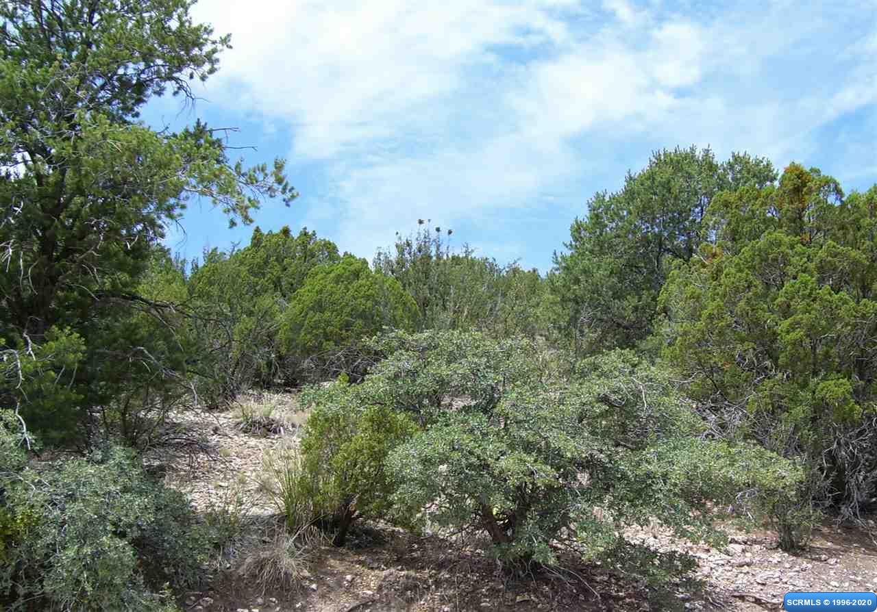286 Caballo Blanco Road #Lot 33, photograph 3