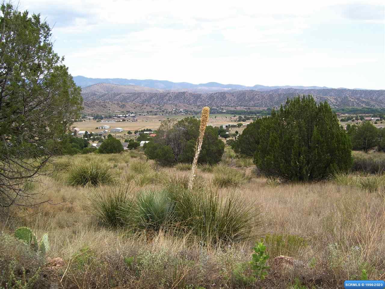 257 Rio Vista Road #Lot 103, Mimbres
