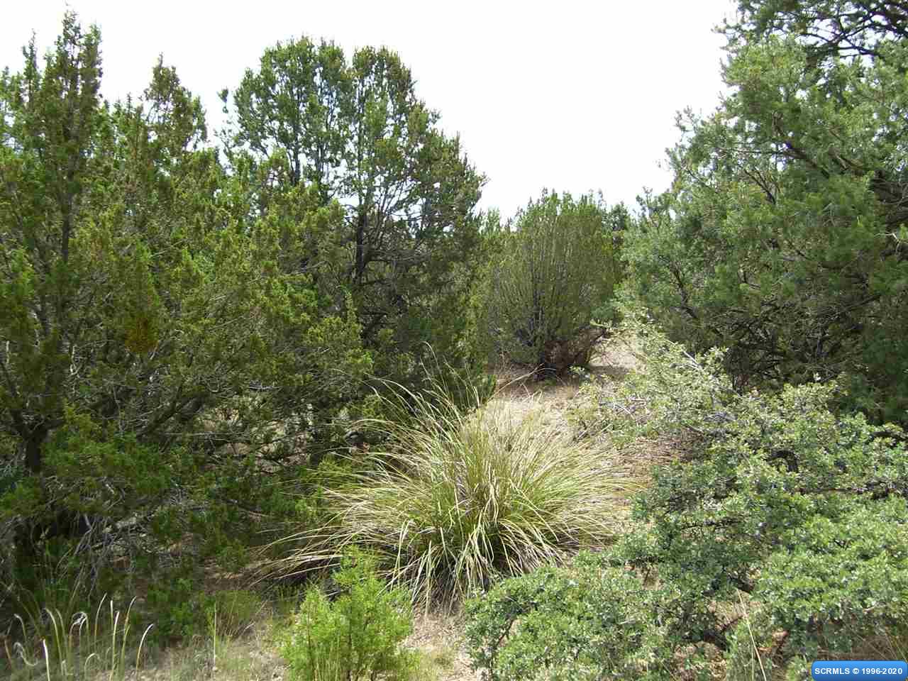 318 Las Palomas Road #Lot 23, Mimbres