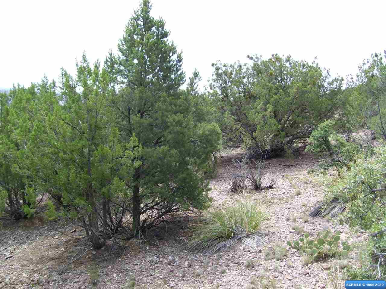 324 Las Palomas Road #Lot 24, photograph 2