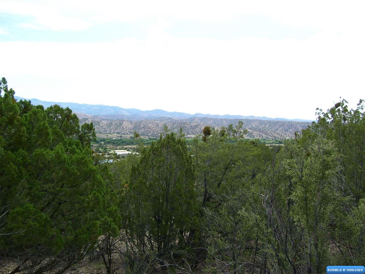 330 Las Palomas Road #Lot 25, Mimbres