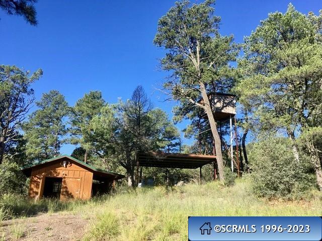 287 Cooney Road, photograph 5