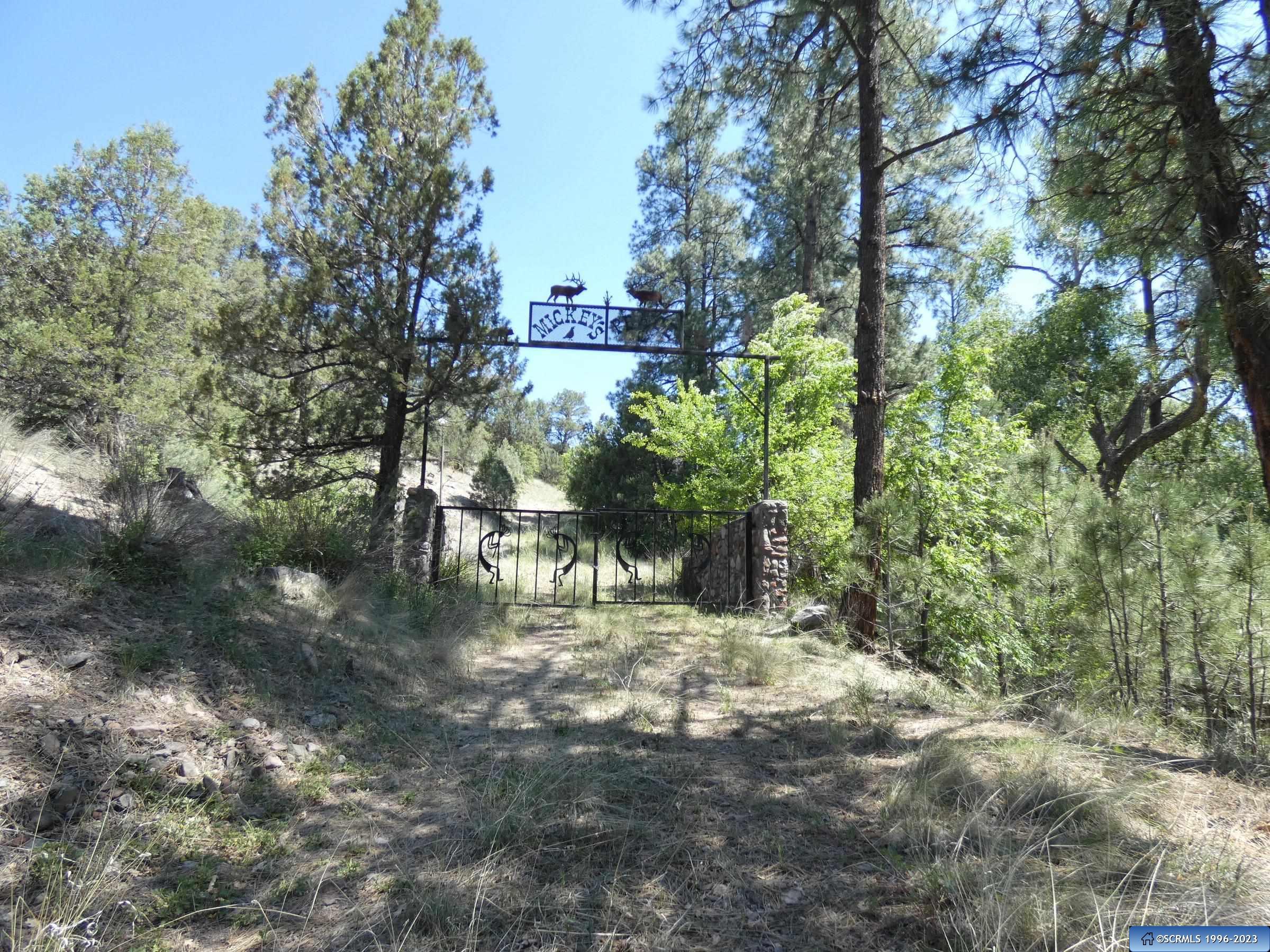 287 Cooney Road, photograph 7