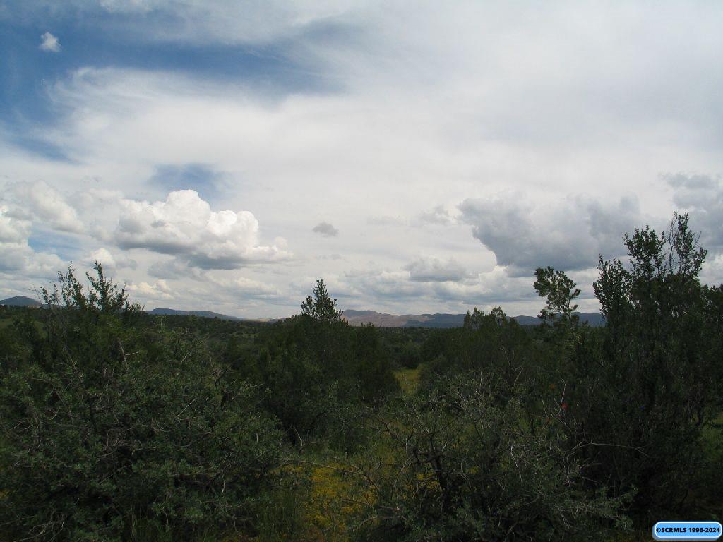 Tract C XYZ Ranch Road, photograph 9