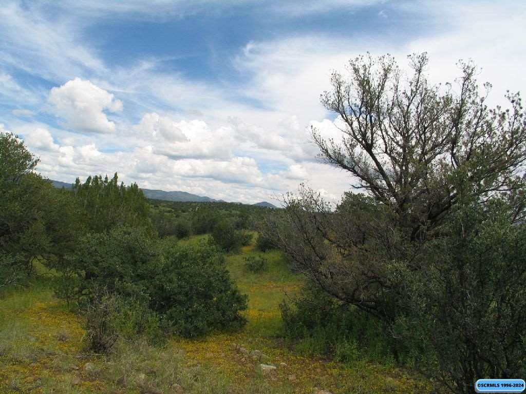 Tract C XYZ Ranch Road, photograph 7