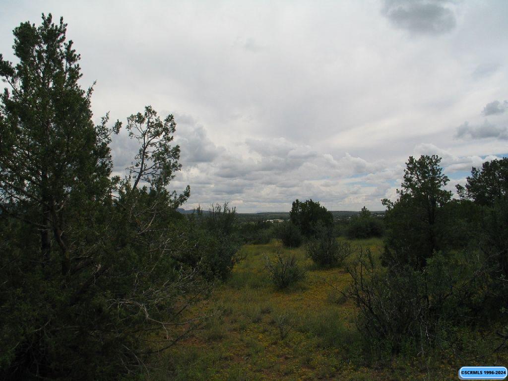Tract C XYZ Ranch Road, photograph 6
