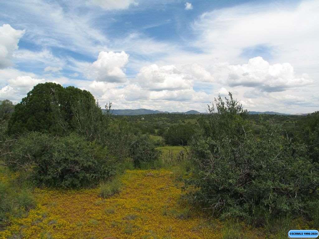 Tract C XYZ Ranch Road, photograph 5