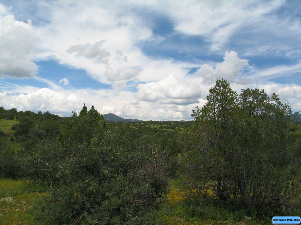 Tract C XYZ Ranch Road, photograph 4