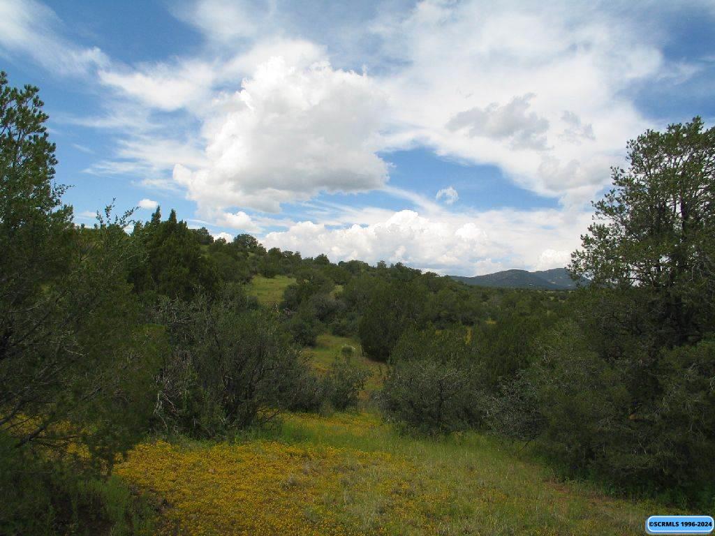 Tract C XYZ Ranch Road, photograph 2