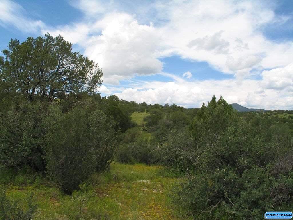 Tract C XYZ Ranch Road, Silver City