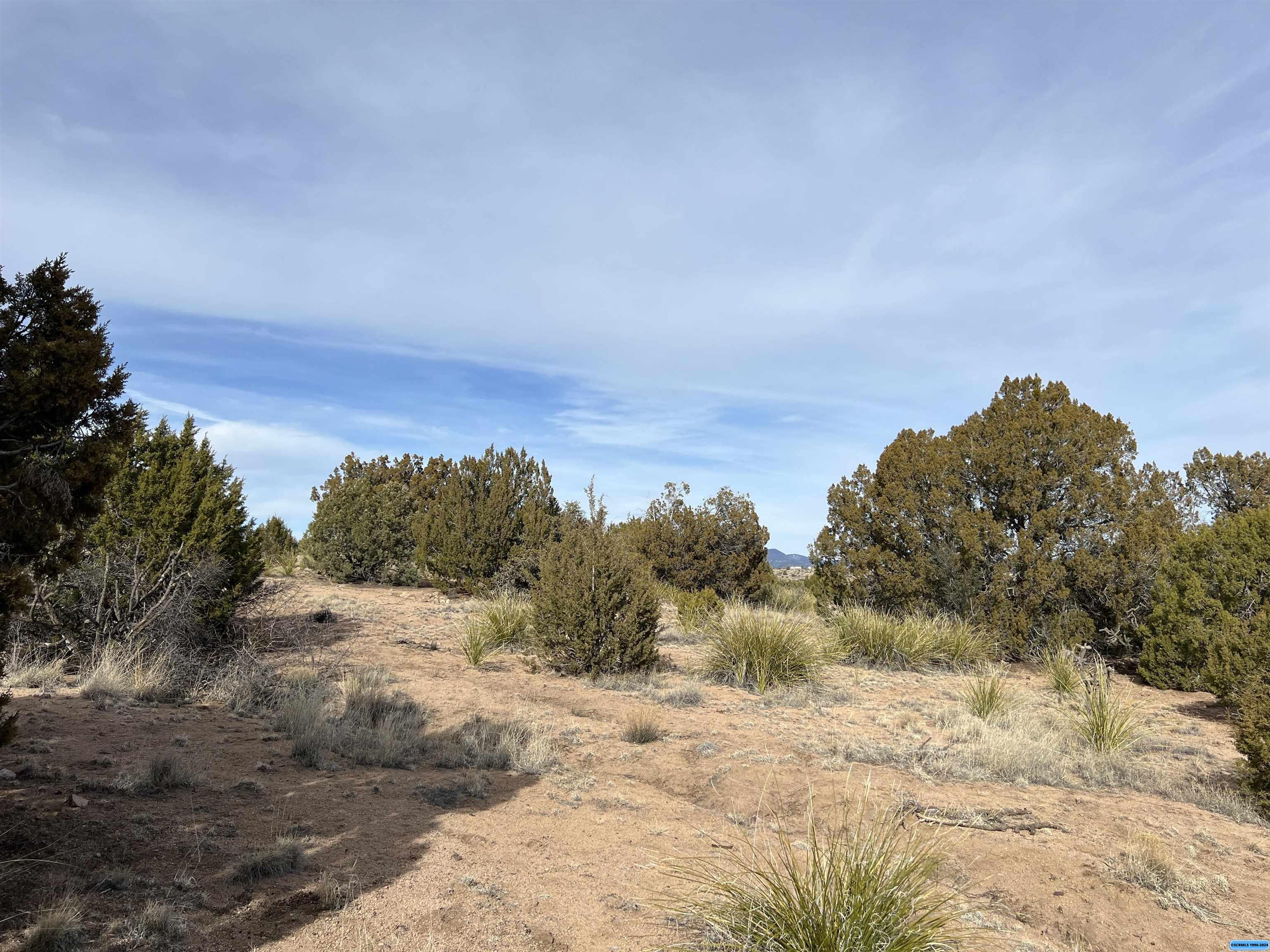 1311 S Hwy 90, photograph 6