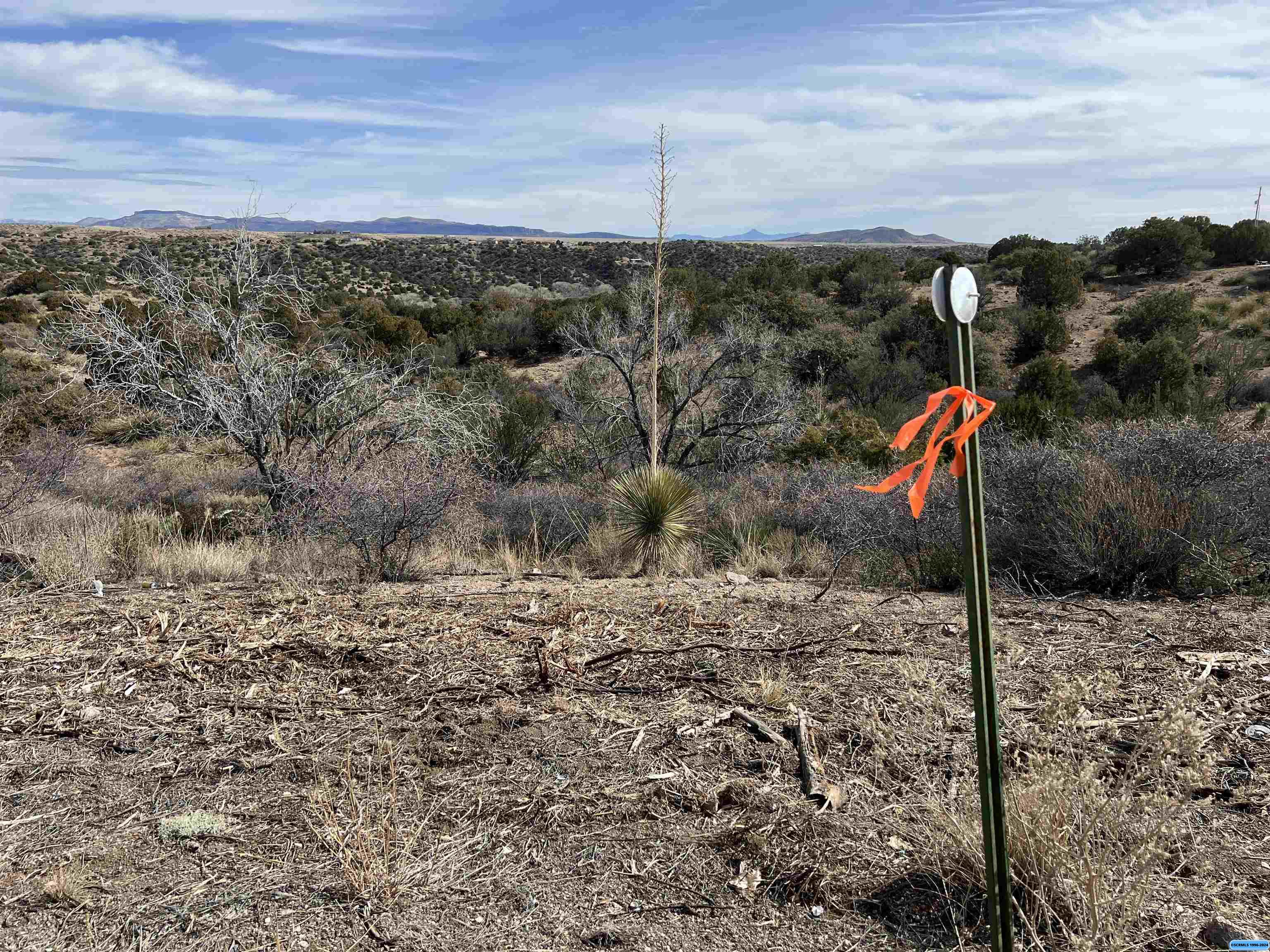 1311 S Hwy 90, photograph 9