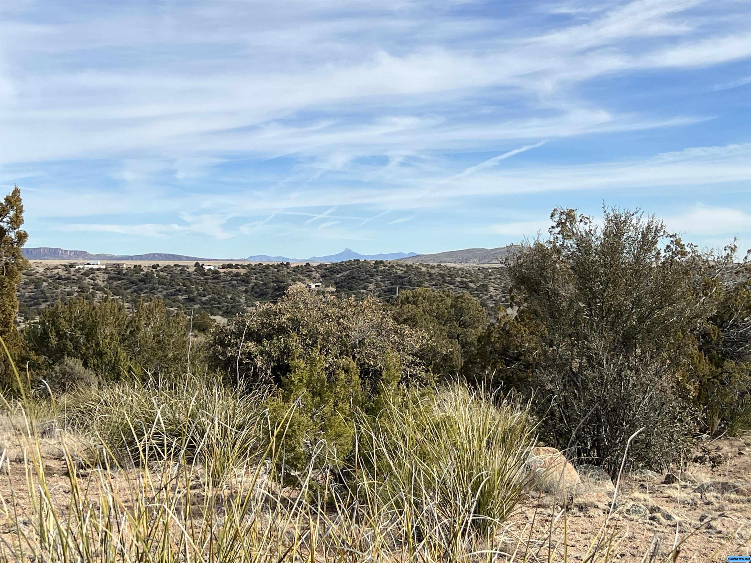 1311 S Hwy 90, photograph 16
