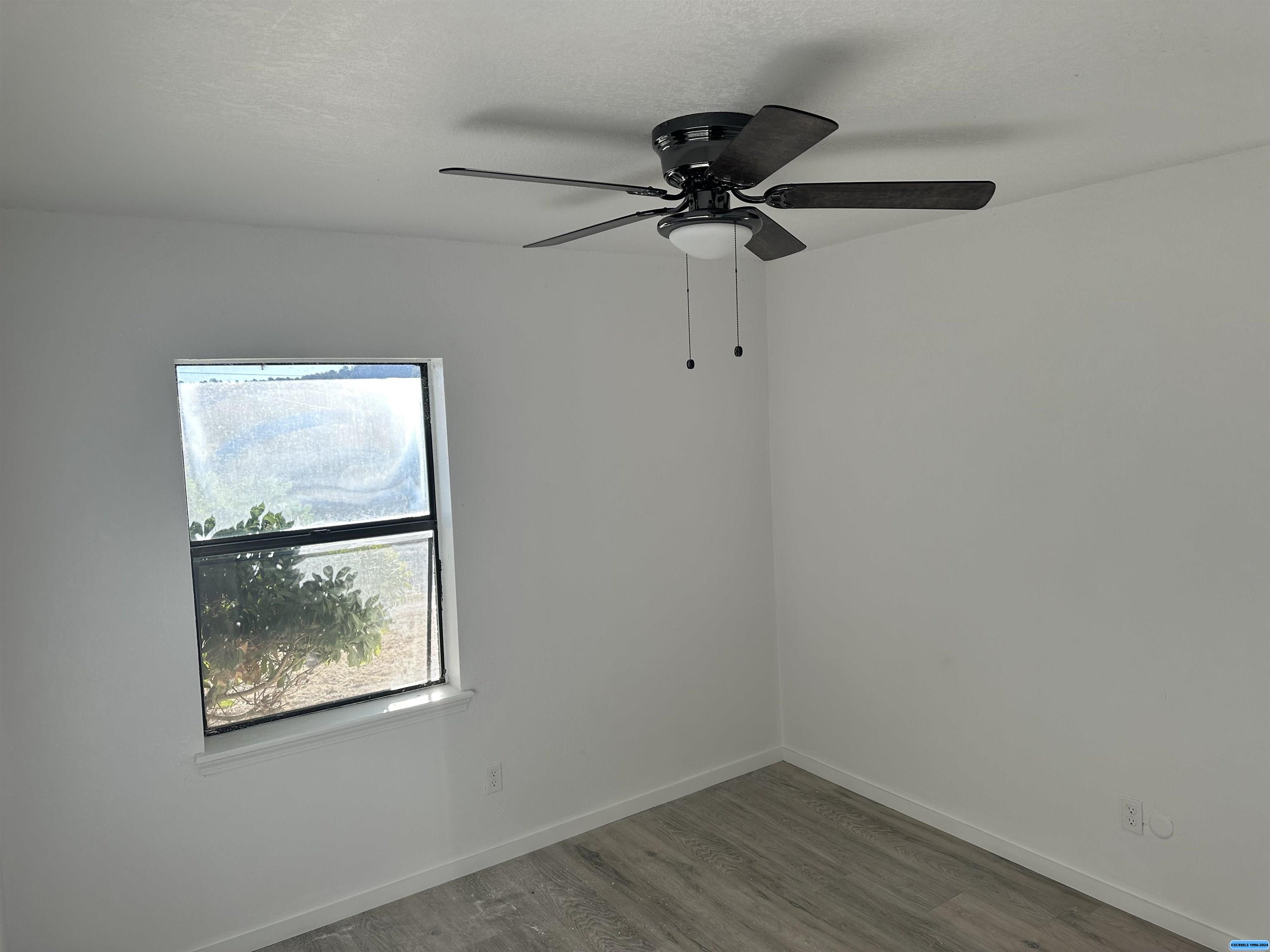 3925 Little Walnut, photograph 4