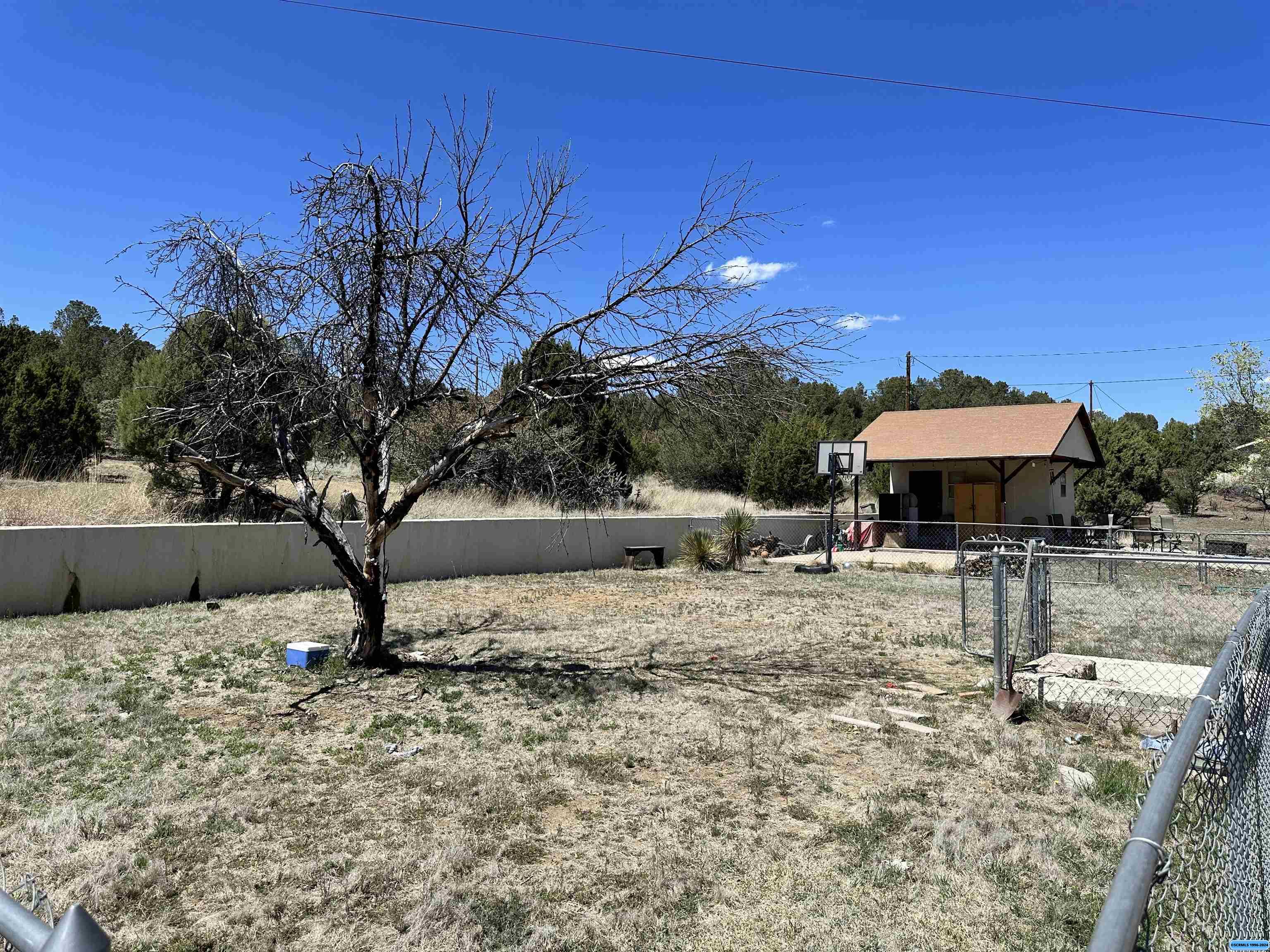 3925 Little Walnut, photograph 9