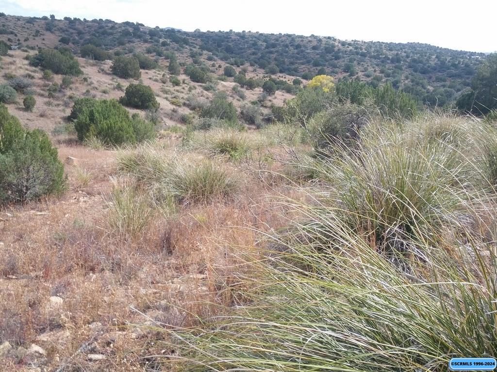 xxx Mountain View Road, photograph 10