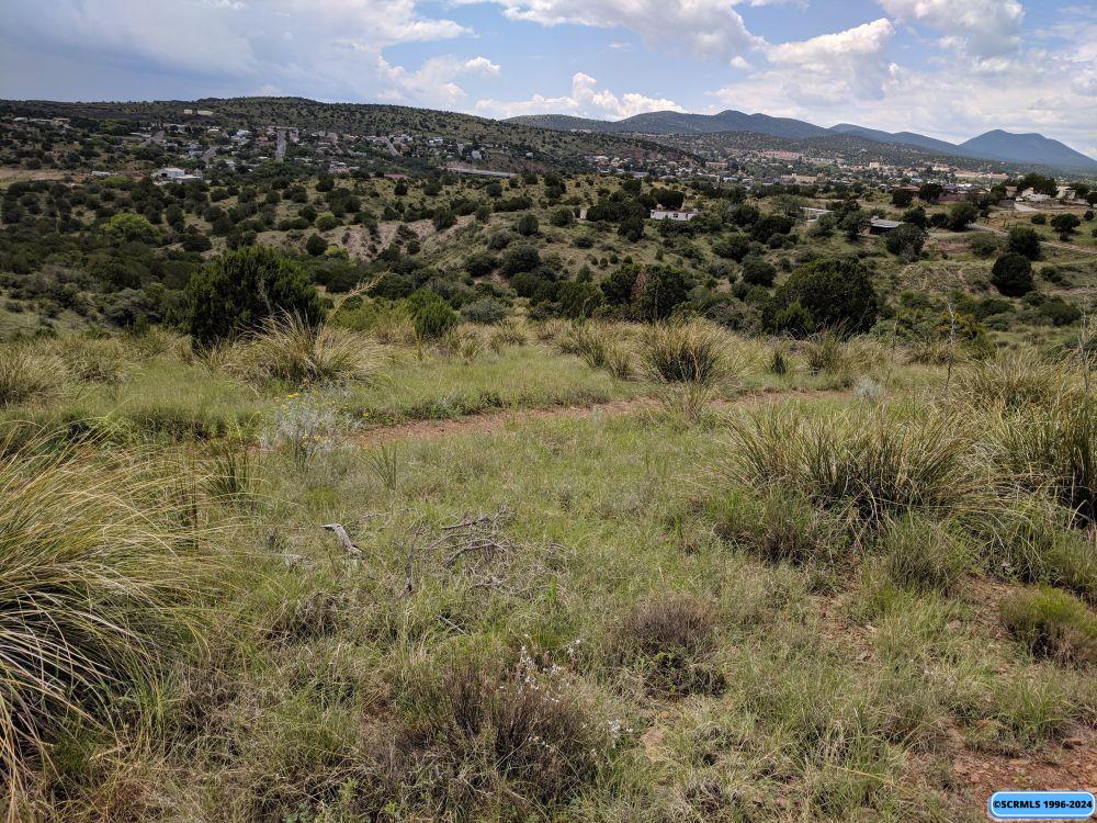 xxx Mountain View Road, photograph 14