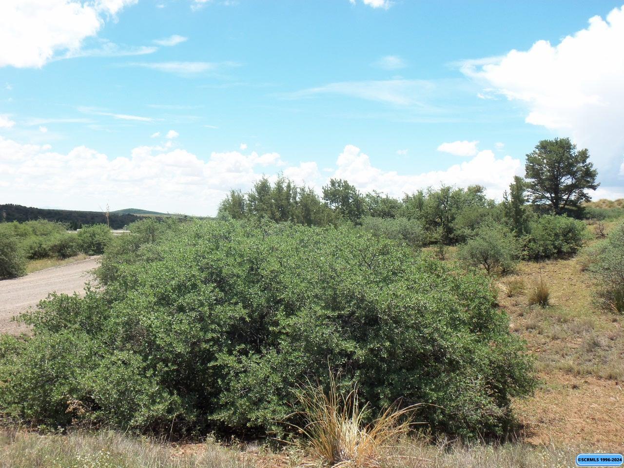 Lot 23 Hitchin Post Ridge #Lot 23 Country Road, photograph 17