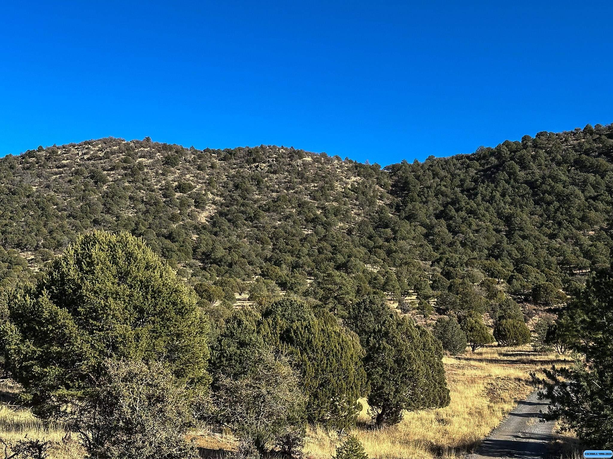 200 Black Dog, Silver City