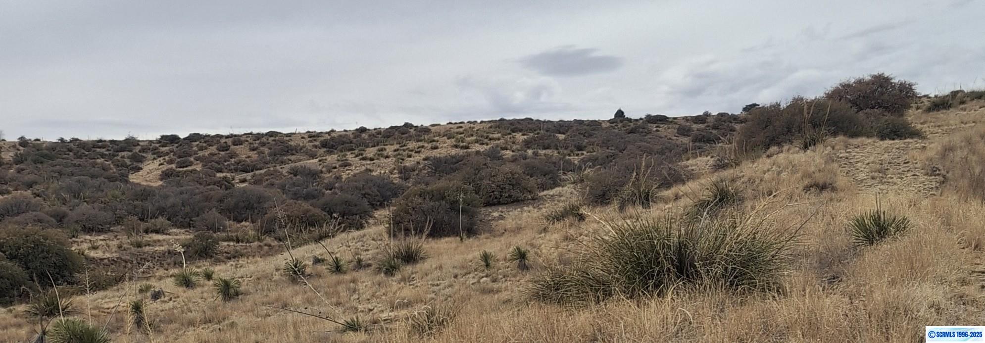XX Ridge Road Tr 6, photograph 7