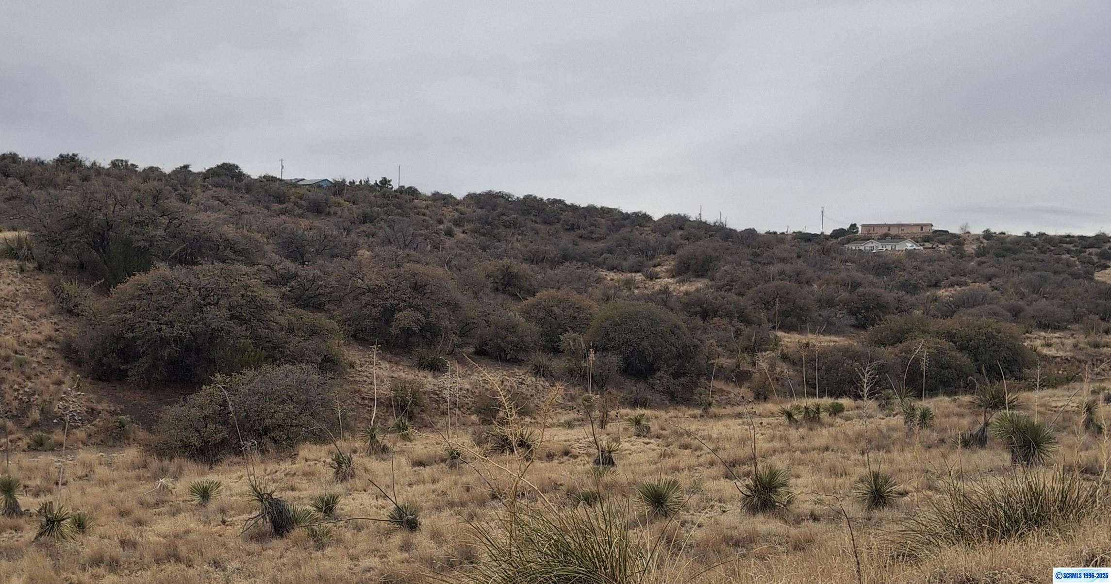XX Ridge Road Tr 5, photograph 9