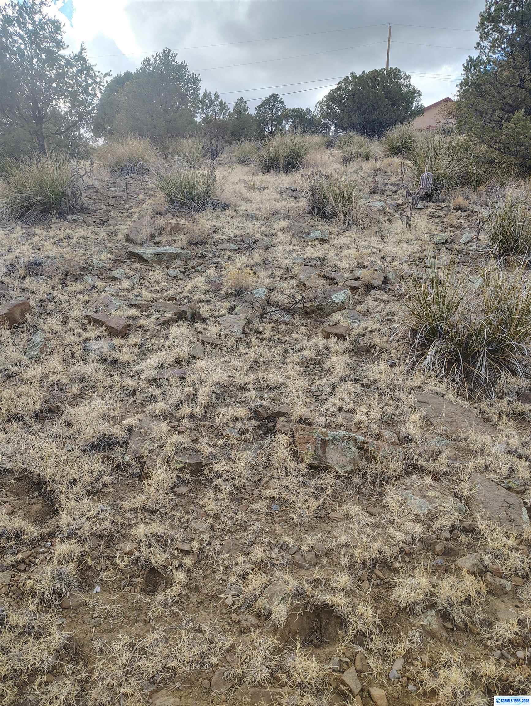 xx Cottonwood Road, photograph 3
