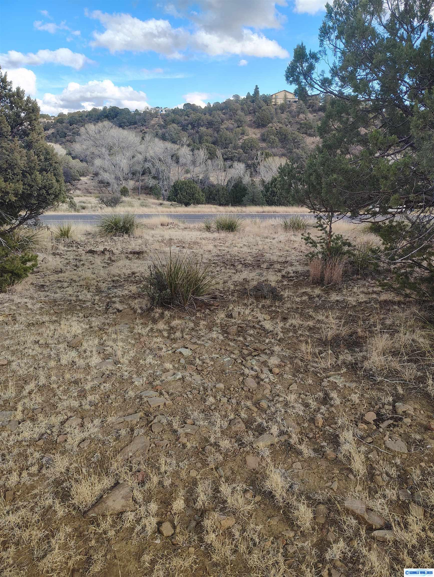 xx Cottonwood Road, photograph 4