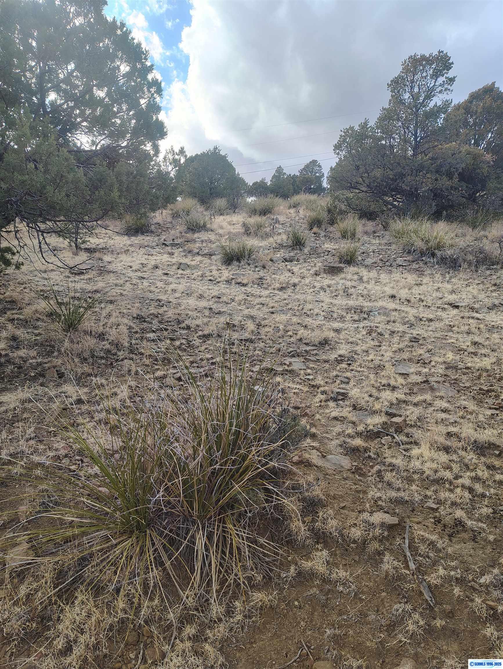 xx Cottonwood Road, photograph 5
