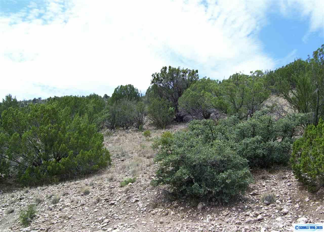 282 Caballo Blanco Road #Lot 34, Mimbres