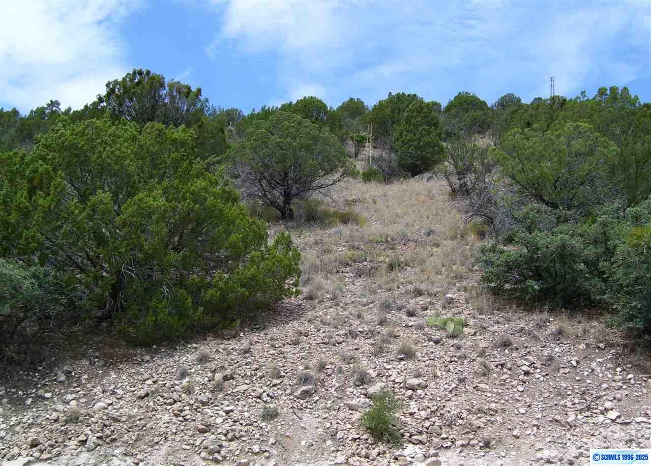 282 Caballo Blanco Road #Lot 34, photograph 2