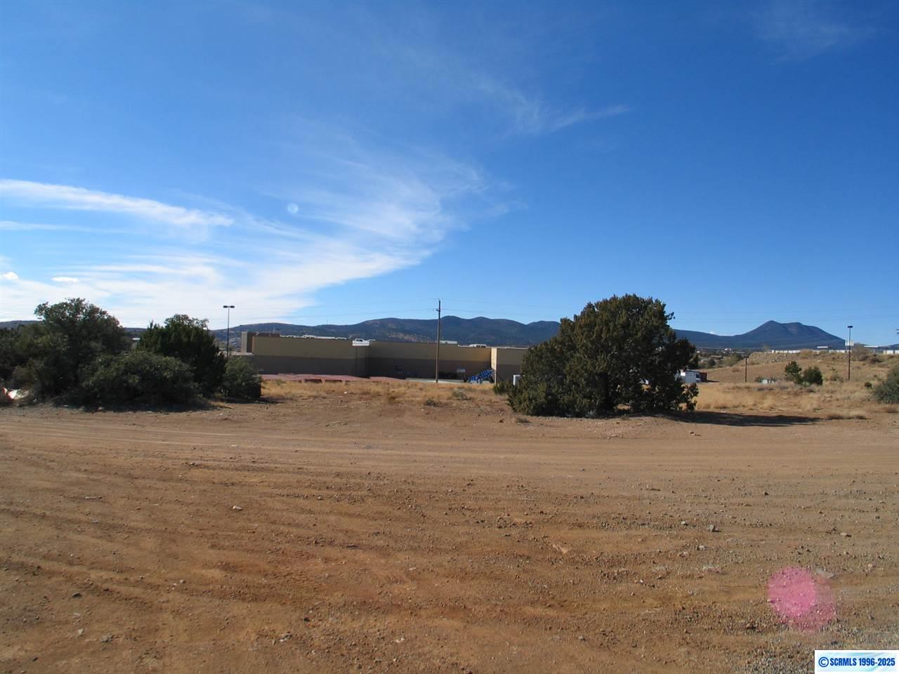 2929 Camino Del Bosque Street, photograph 9