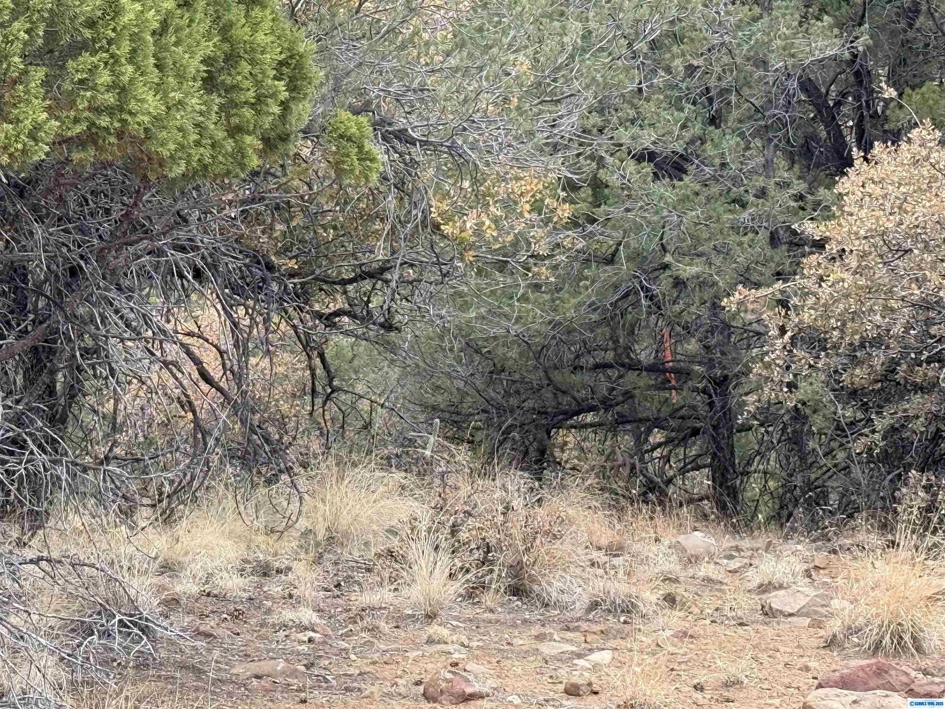 xxx Nikki's Road, photograph 6
