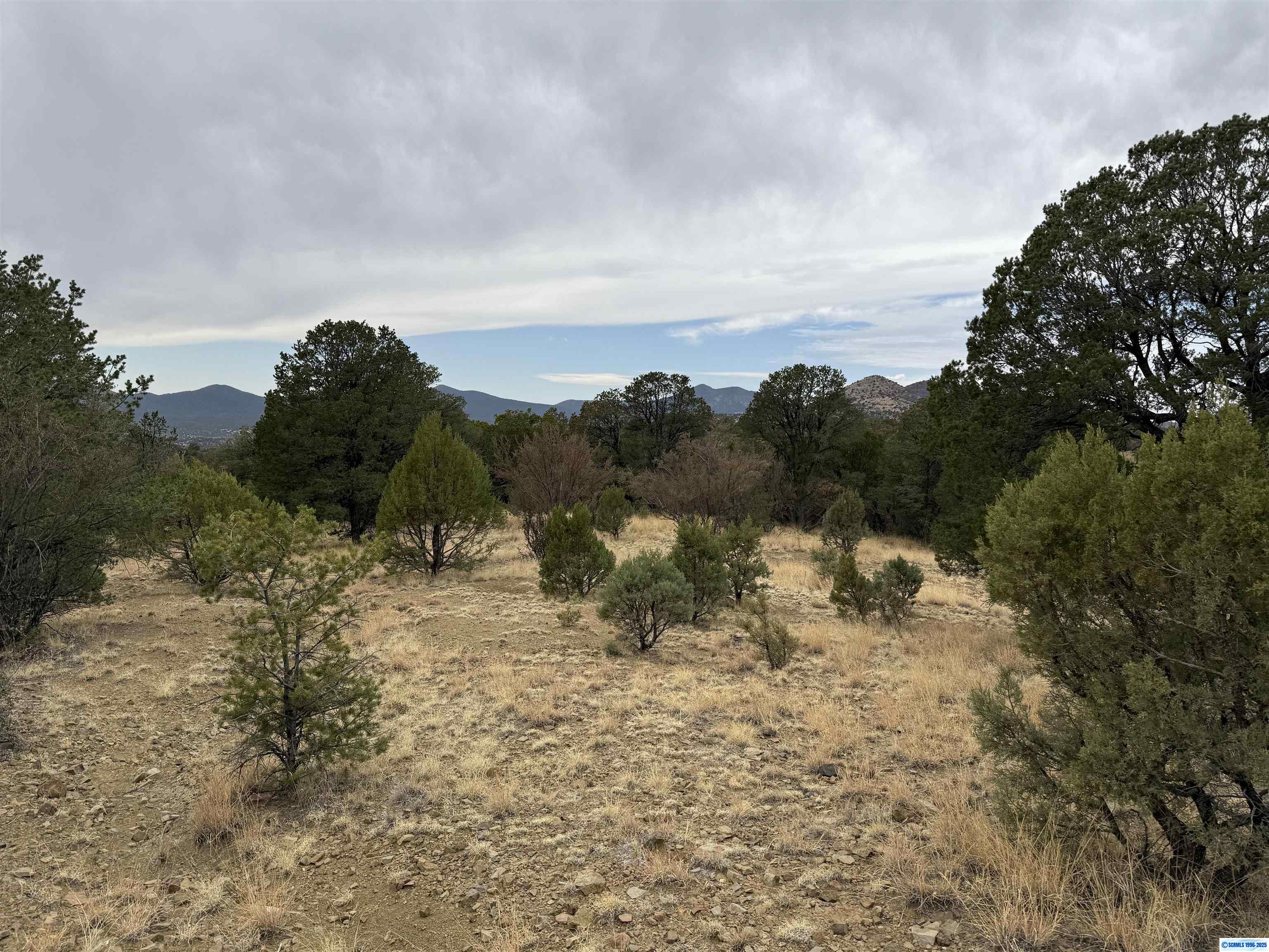 xxx Nikki's Road, Silver City