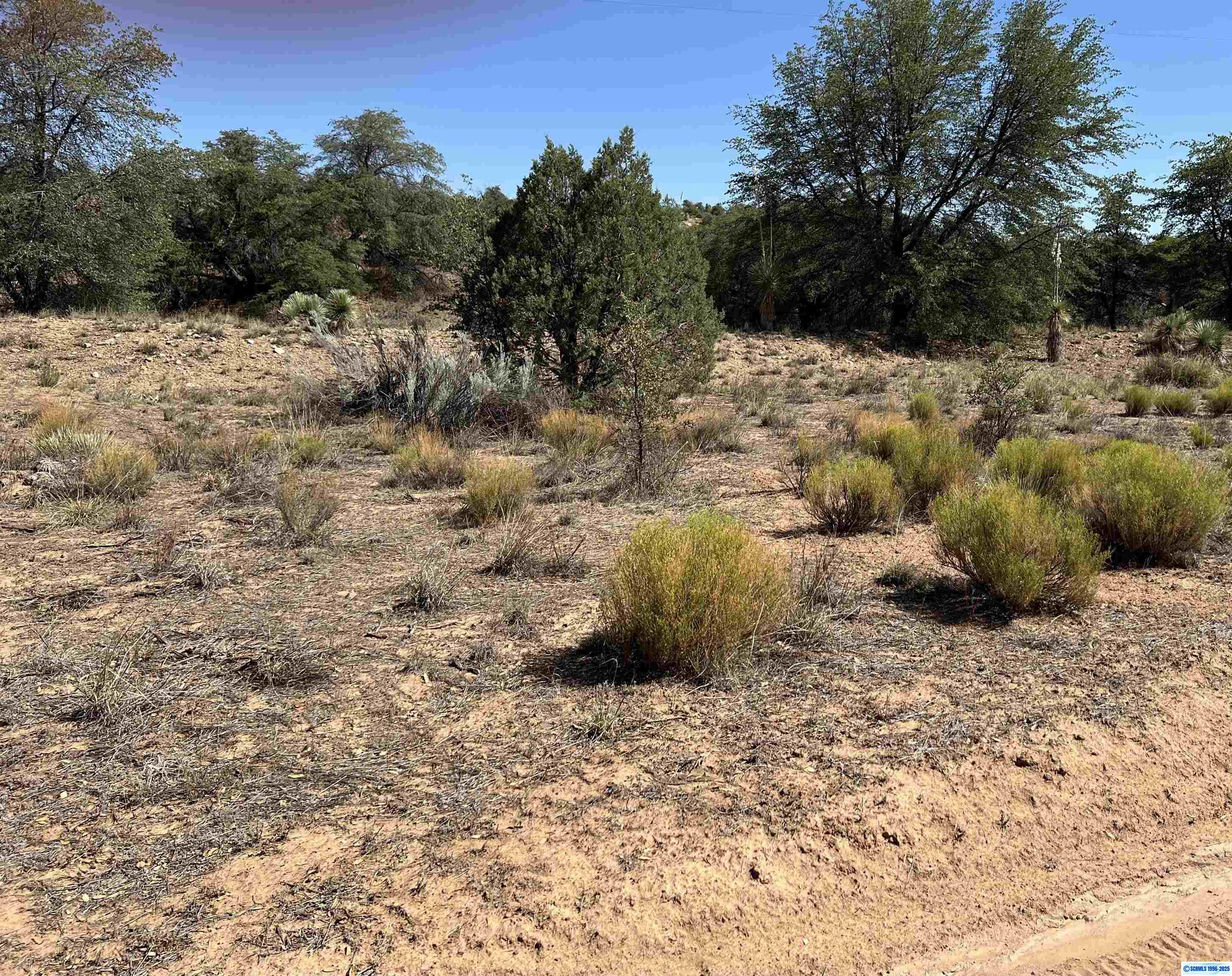 1X Chaparral Trail, Silver City