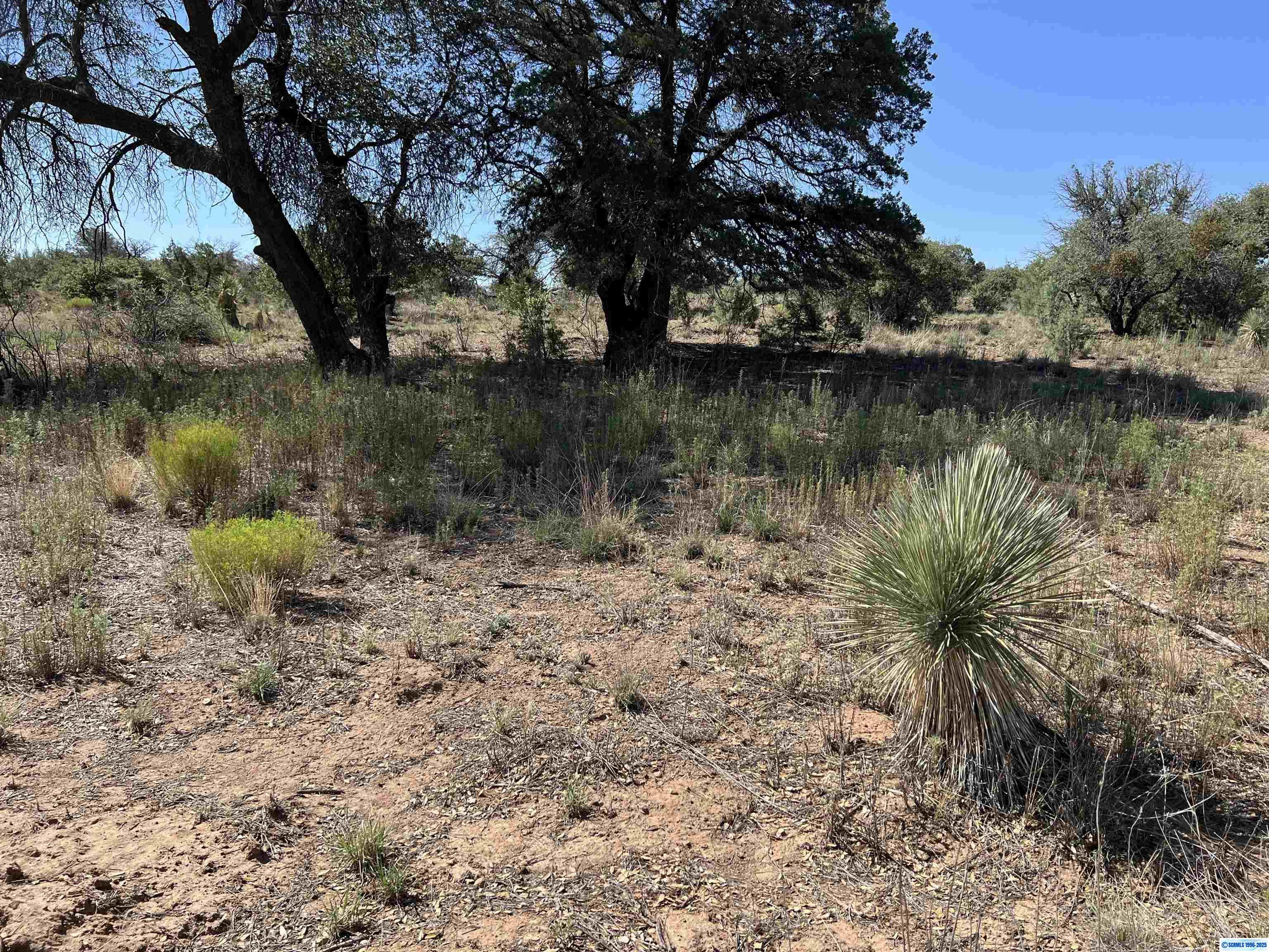 1X Chaparral Trail, photograph 2