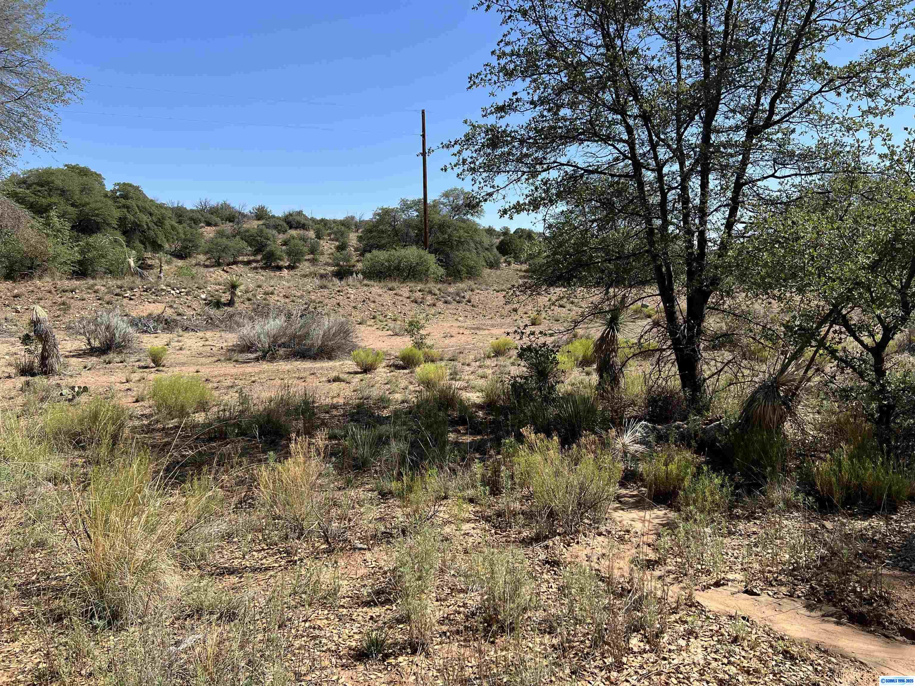 1X Chaparral Trail, photograph 3