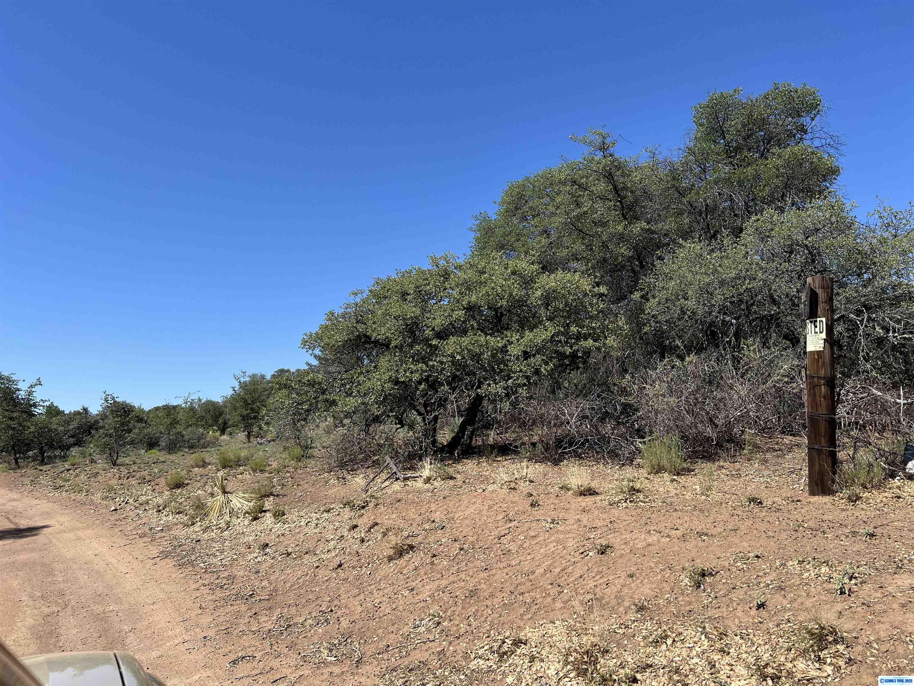 1X Chaparral Trail, photograph 4