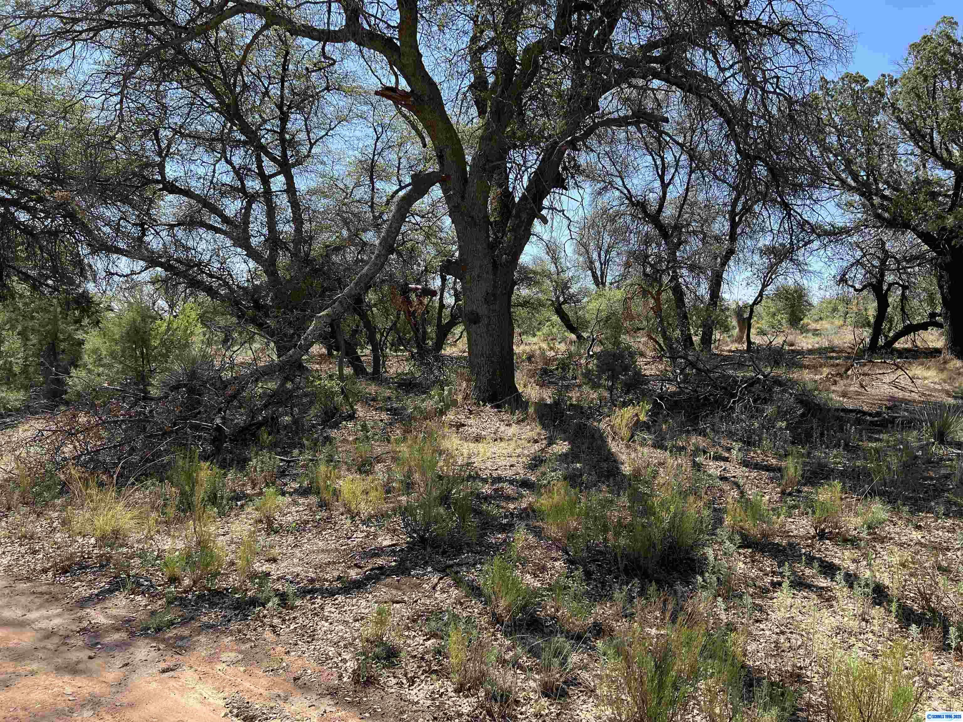 1X Chaparral Trail, photograph 5