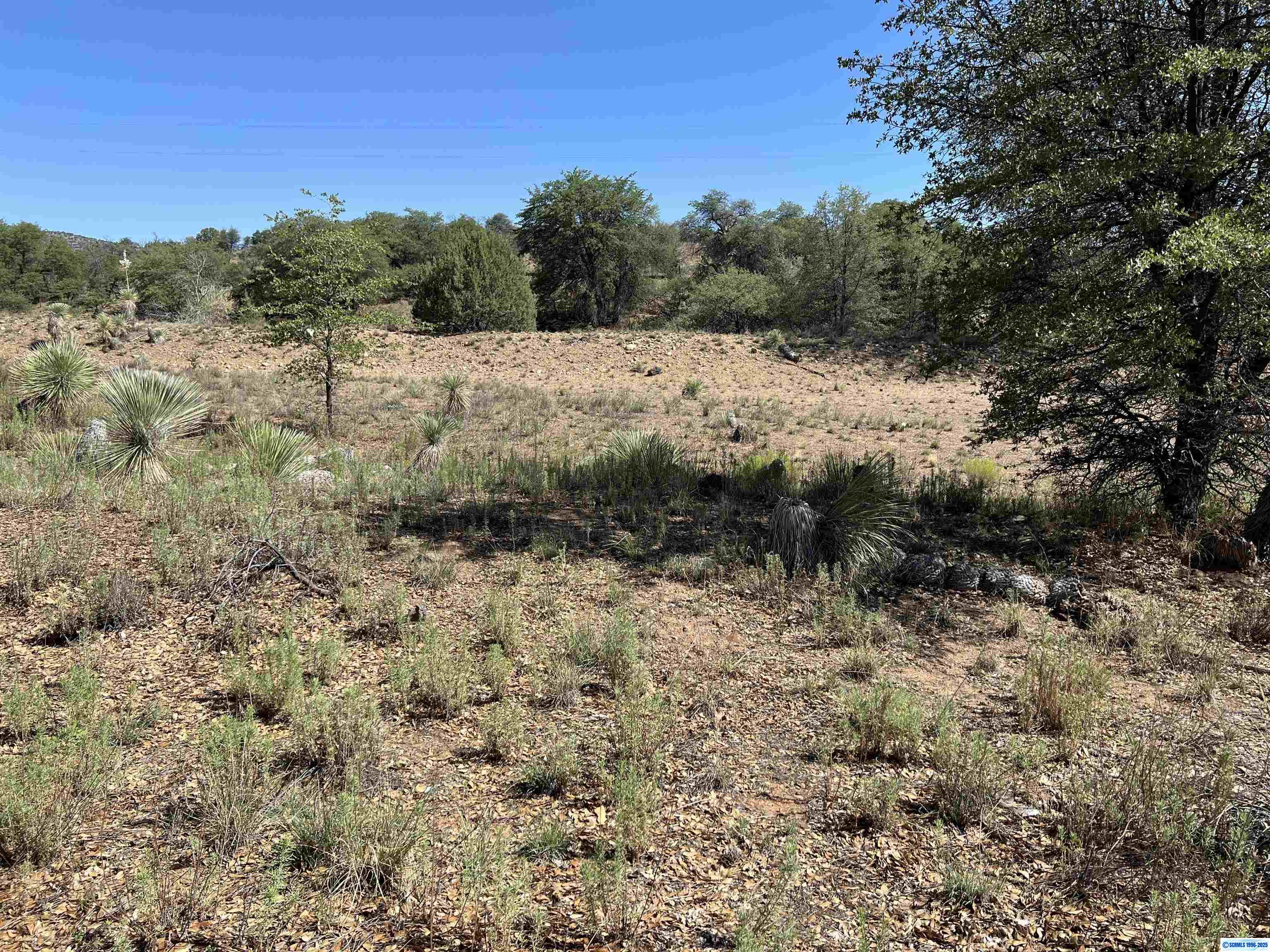 1X Chaparral Trail, photograph 6