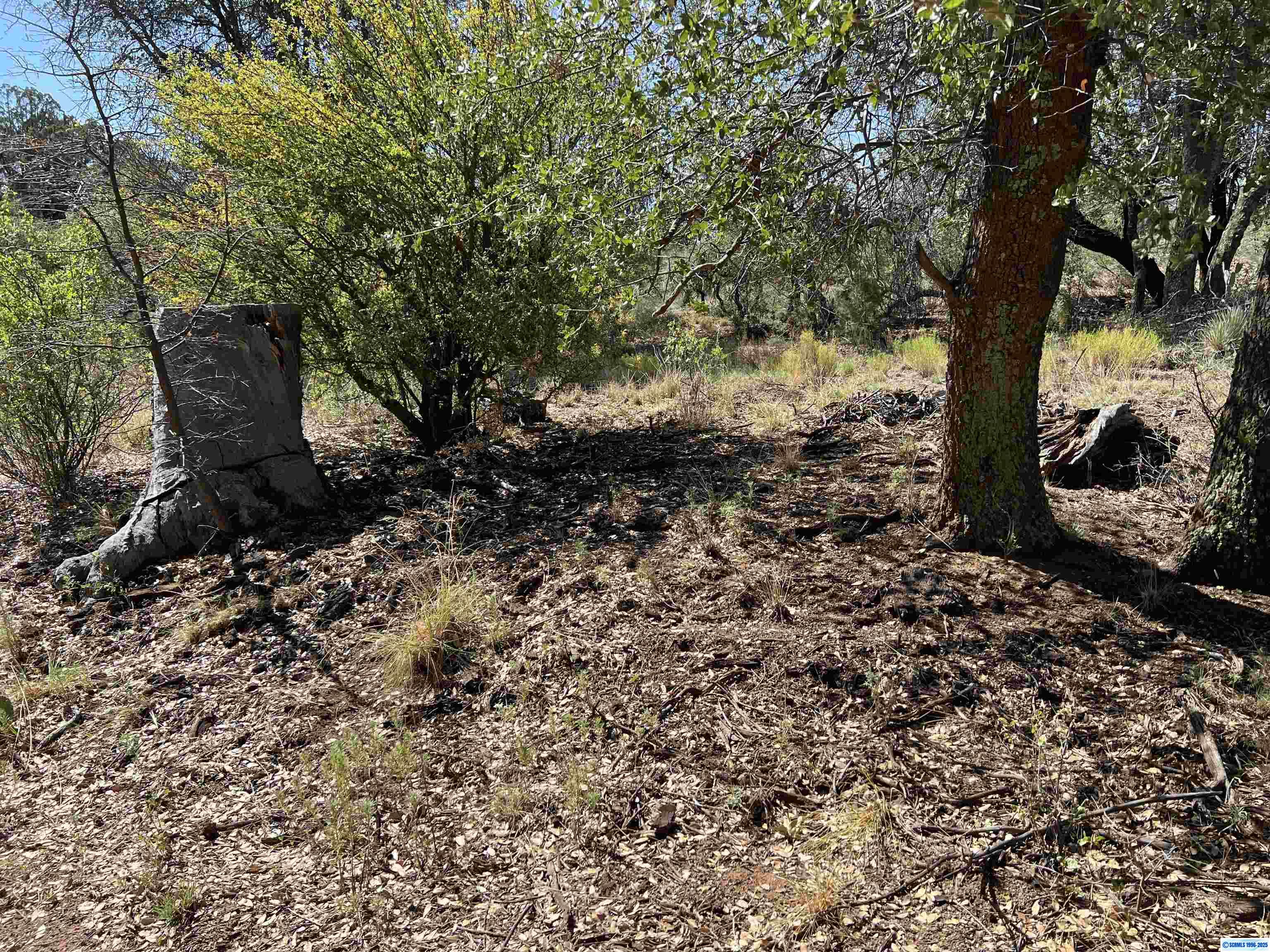 1X Chaparral Trail, photograph 7
