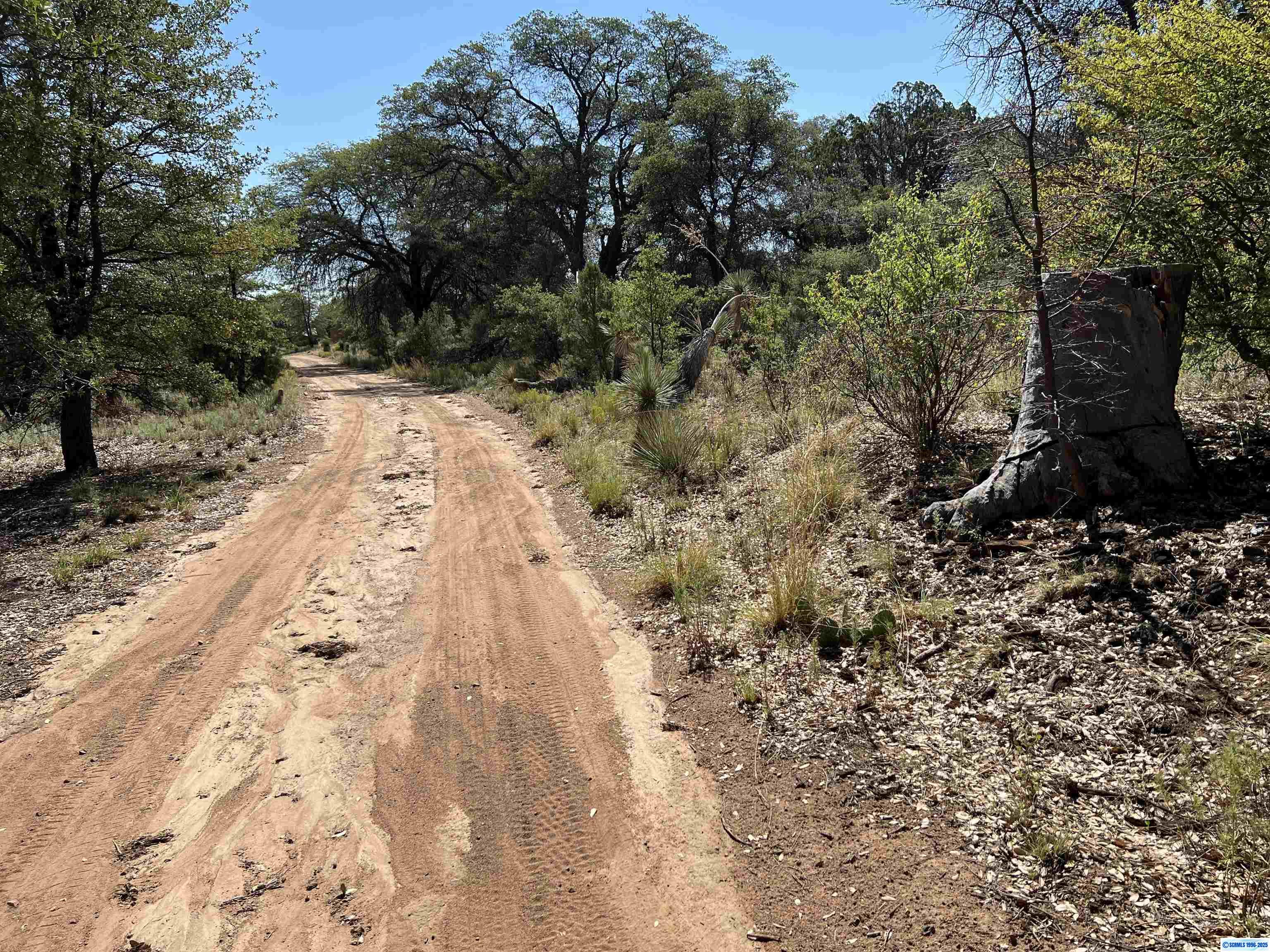 1X Chaparral Trail, photograph 8