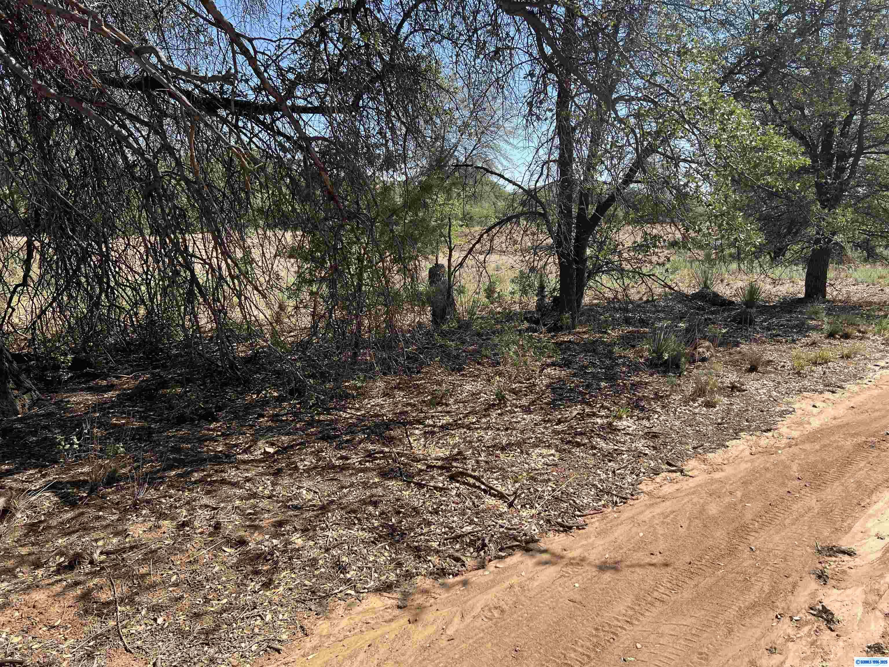 1X Chaparral Trail, photograph 9