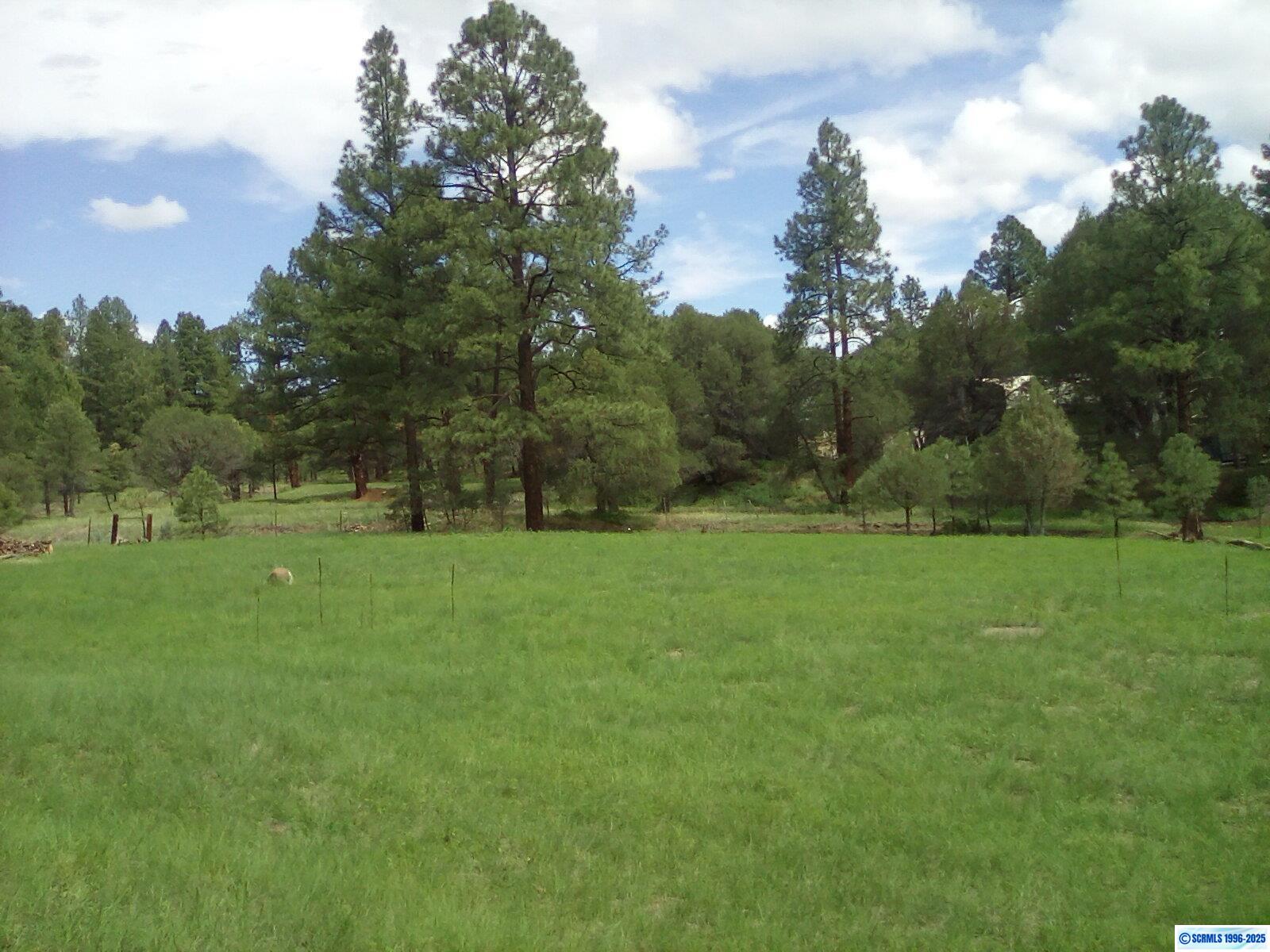 4007 N Hwy 35, photograph 3