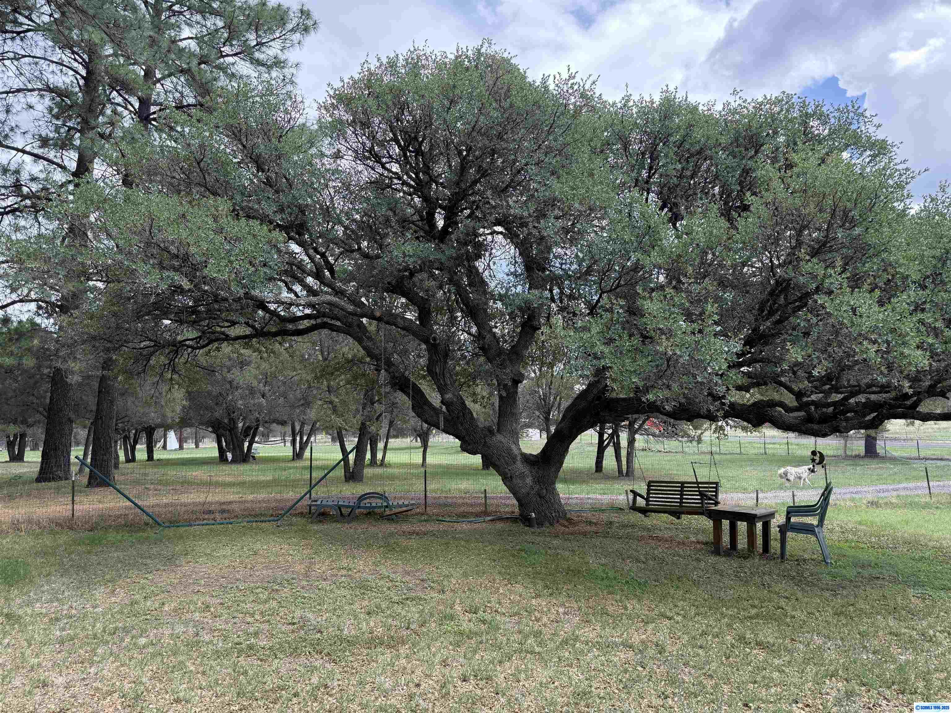 4007 N Hwy 35, photograph 45