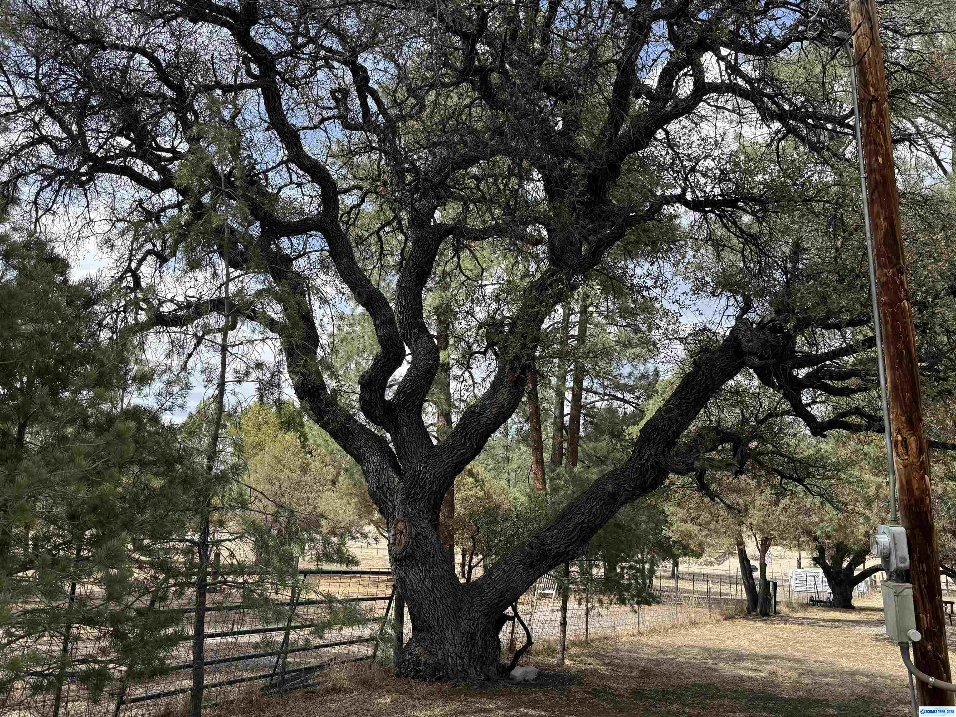 4007 N Hwy 35, photograph 49
