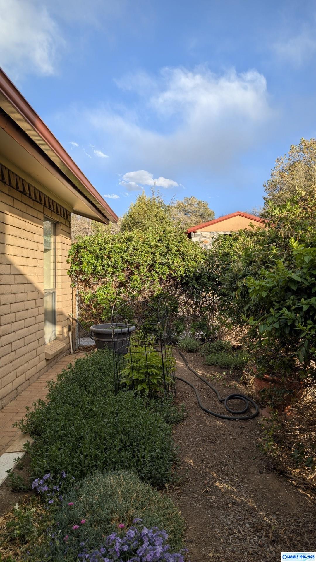 44 Peterson, photograph 33