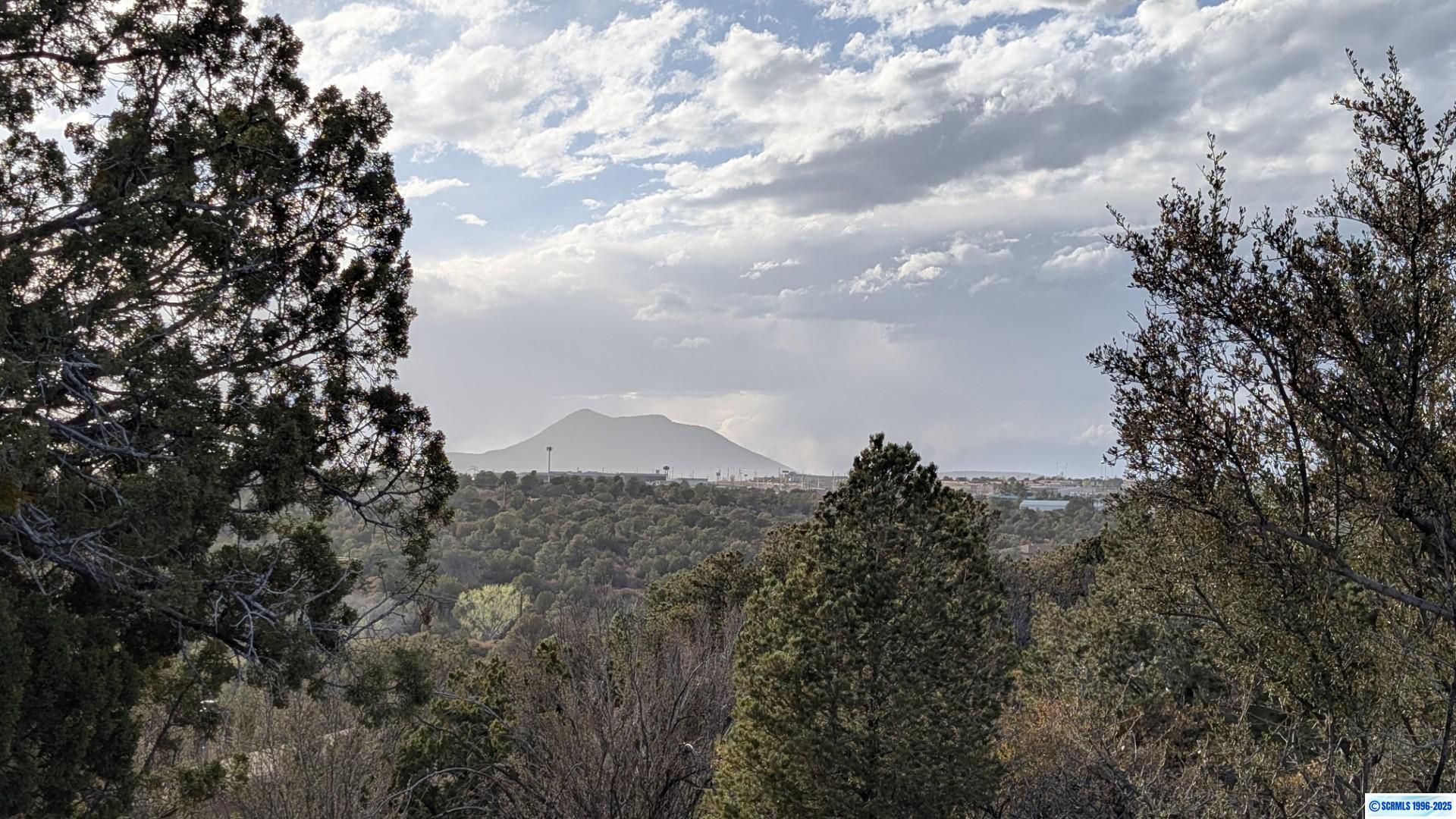 44 Peterson, photograph 34
