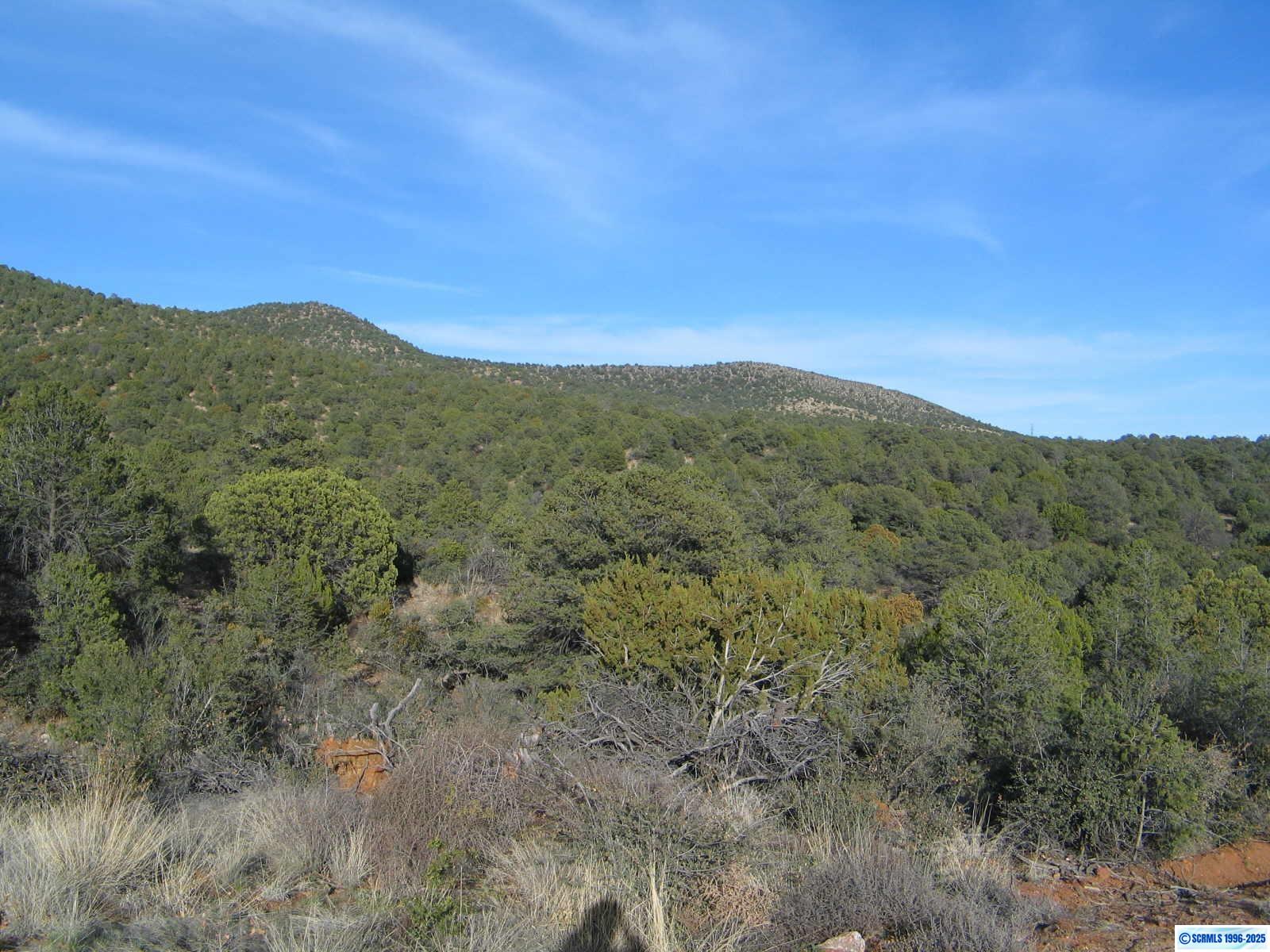 Camino De Viento Road, Silver City